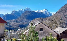 Apartments Triglav